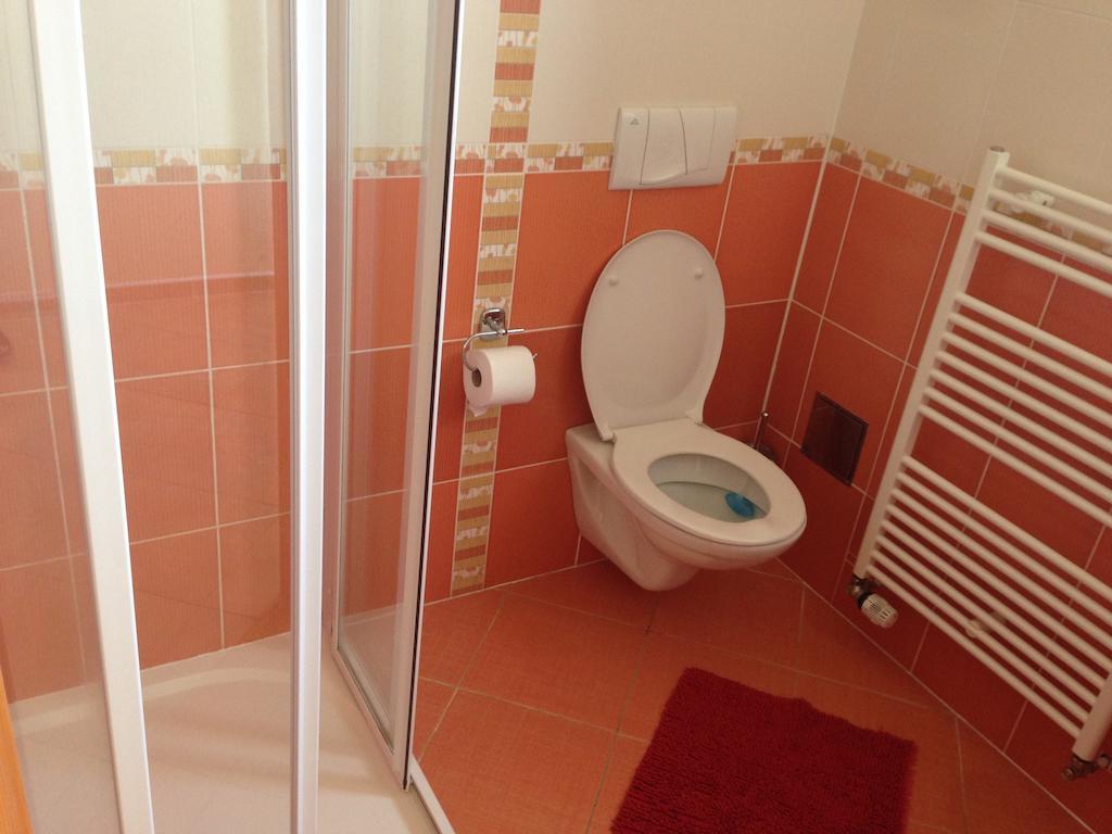 Apartmany Nowy Frymburk Oda fotoğraf