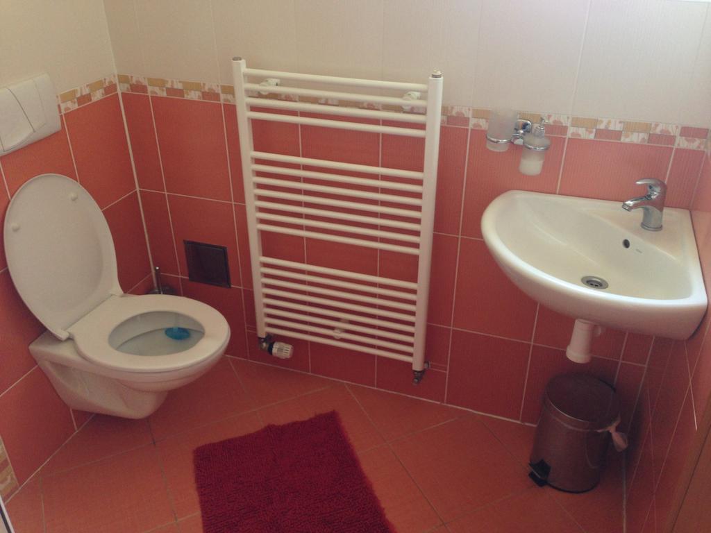 Apartmany Nowy Frymburk Oda fotoğraf